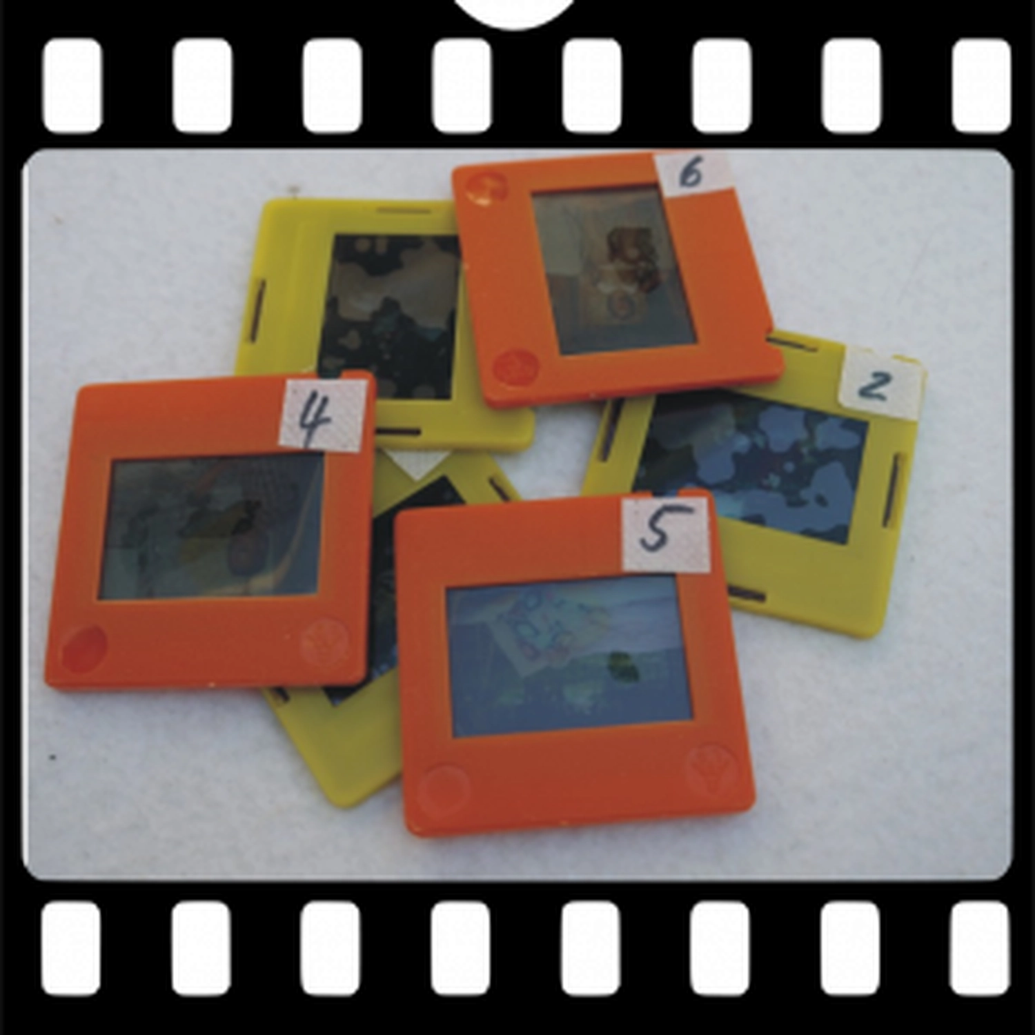 Heimvideostudio Steinmetz - Videostudio - DVD